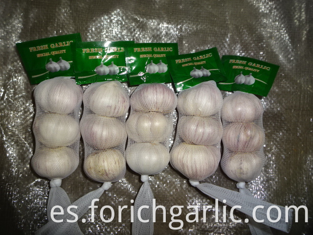 Crop 2019 Normal White Garlic